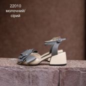 22010-MSER