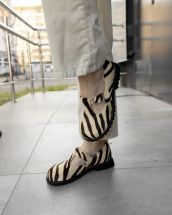 1320-ZEBRABG