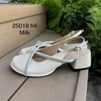 25018-4MLCH