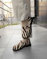 1320-ZEBRABG