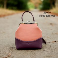 23015-VTEAR