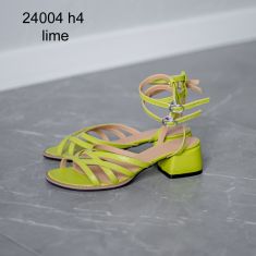 24004-4LIME