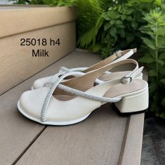 25018-4MLCH