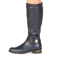 Сапоги женские Shoes stule 0311BLUE