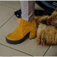 ����� �������� ��������� �� ������� ������� � ���������� ����