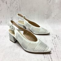 ����� ������� ��������� �� ������� � �������� �������� ������ � �����