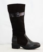 ������ ������� REGINA 43-S