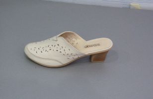 ���� ������� REGINA A99-L