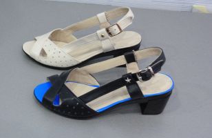 ��������� ������� REGINA A44-L