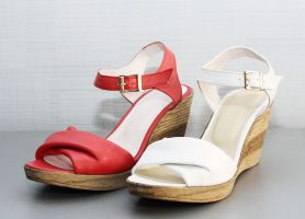��������� ������� REGINA A51-L