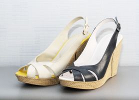 ��������� ������� REGINA A11-L
