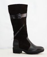 ������ ������� REGINA 43-S