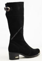 ������ ������� REGINA 59-S